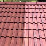 Pegasus Roof Restorations