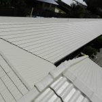 Pegasus Roof Restorations